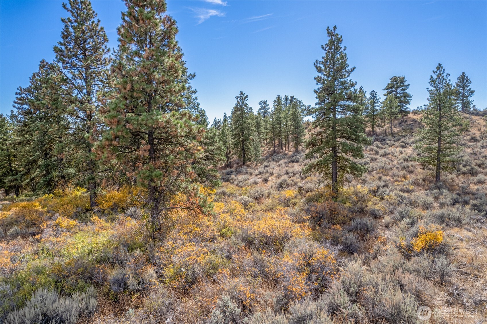 403 Wild Turkey Road East Wenatchee, WA 98802 - Photo 8 of 15 Gallery Image 8