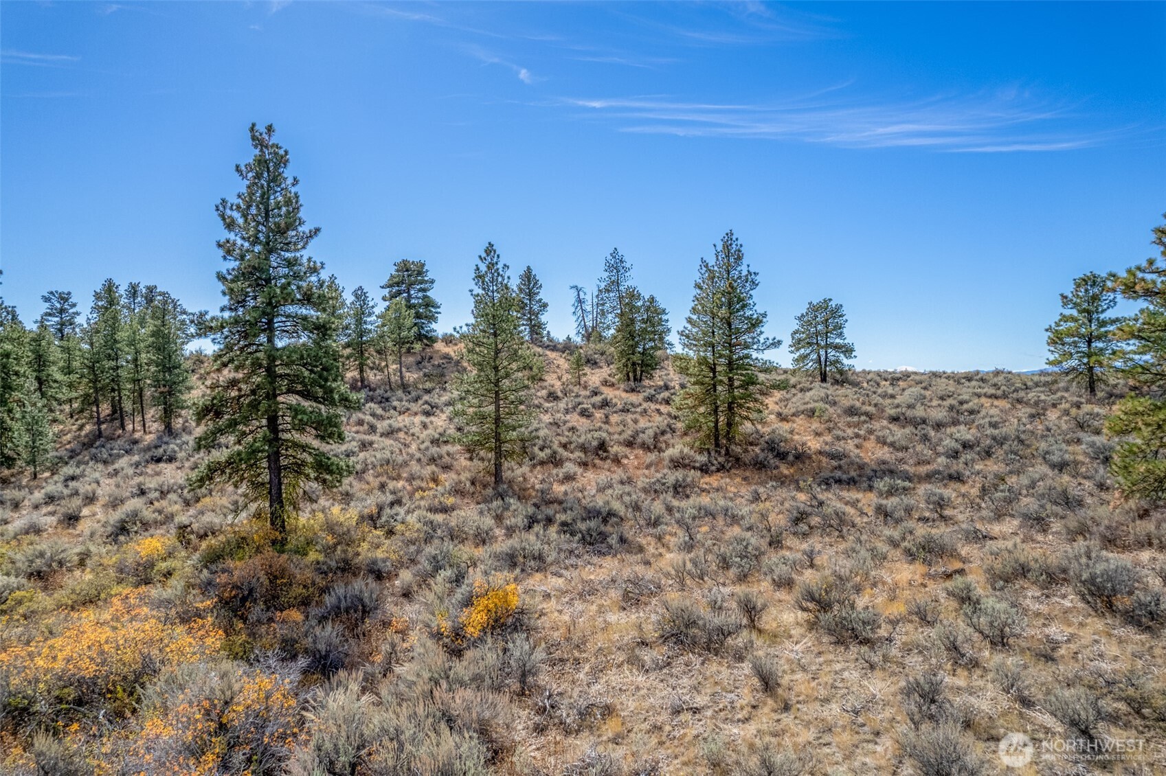 403 Wild Turkey Road East Wenatchee, WA 98802 - Photo 9 of 15 Gallery Image 9
