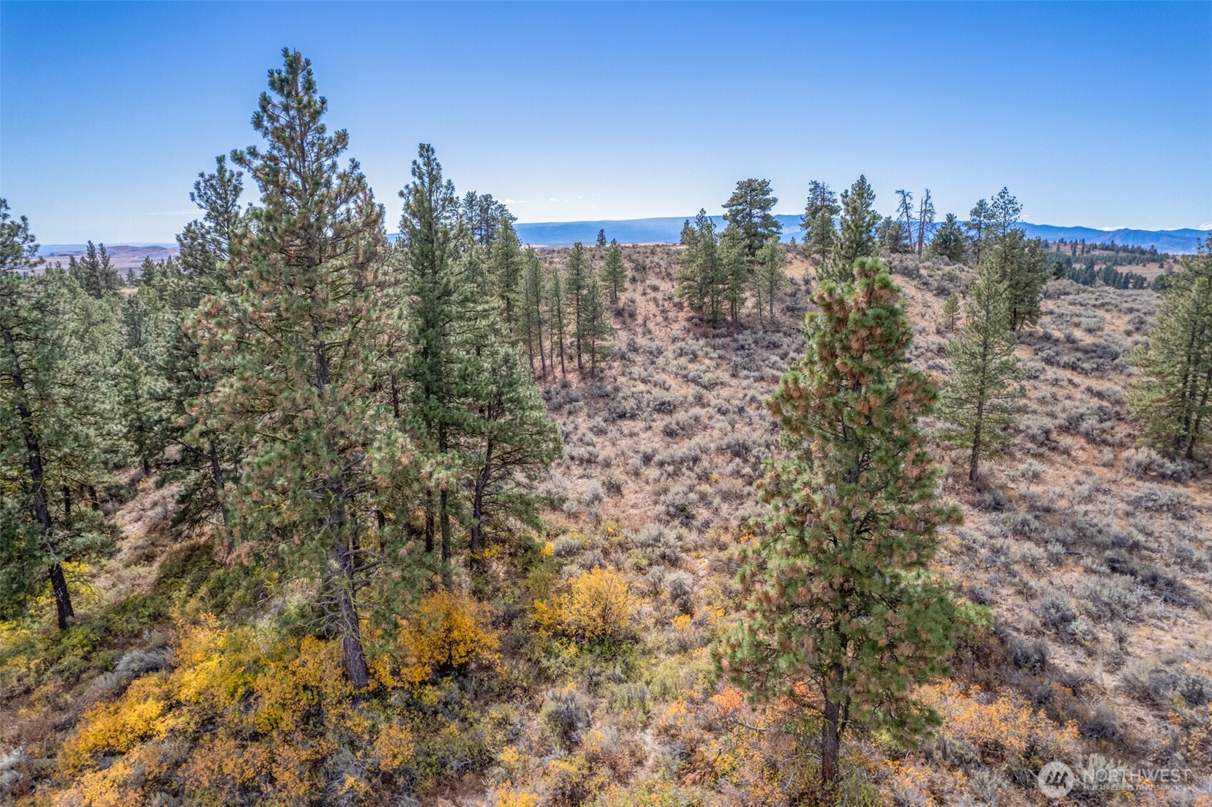 403 Wild Turkey Road East Wenatchee, WA 98802 - Photo 10 of 15 Gallery Image 10