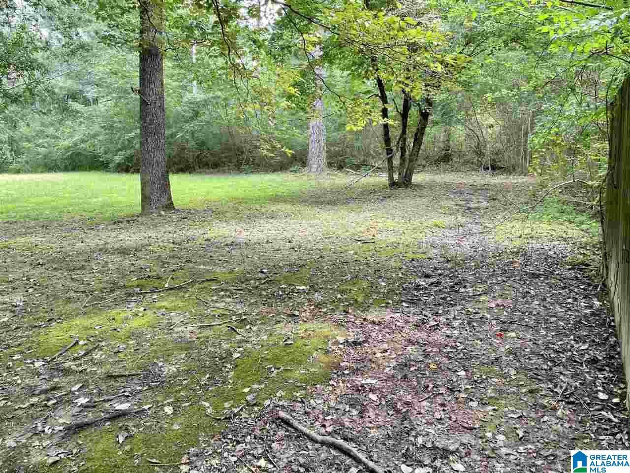 8743 Old Tennessee Pike Road Pinson, AL 35126 - Photo 7 of 49