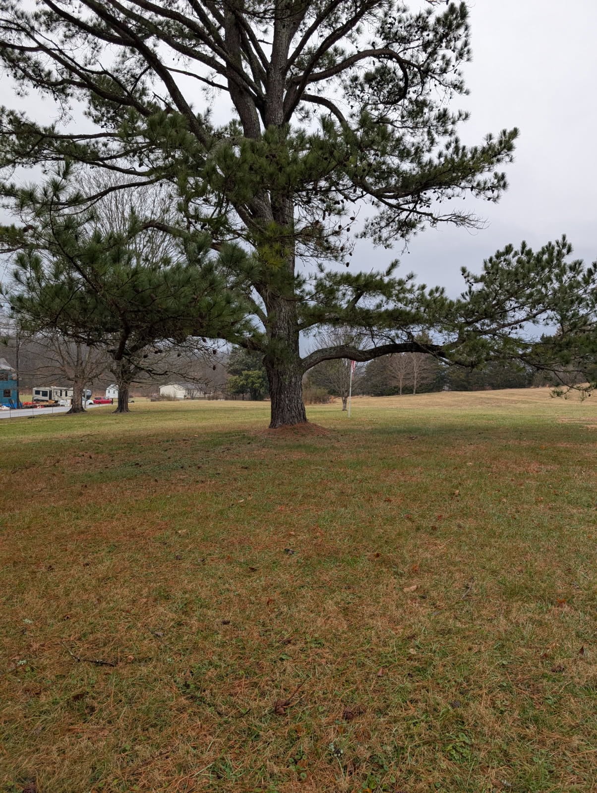 1360 Harris Hollow Road Charlotte, TN 37036 - Photo 18 of 18 a view of lake view