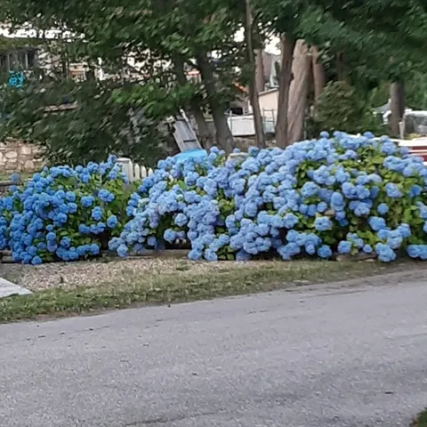 $900,000 | 10 Indian Point Road, Webster, MA 01570