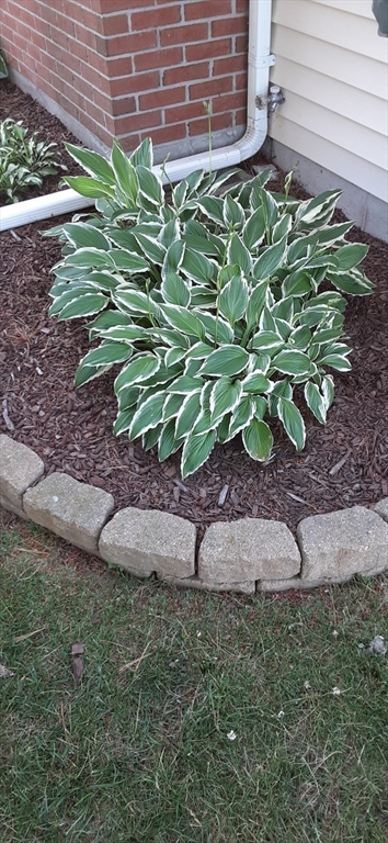 10 Indian Point Road Webster, MA 01570 - Photo 41 of 42