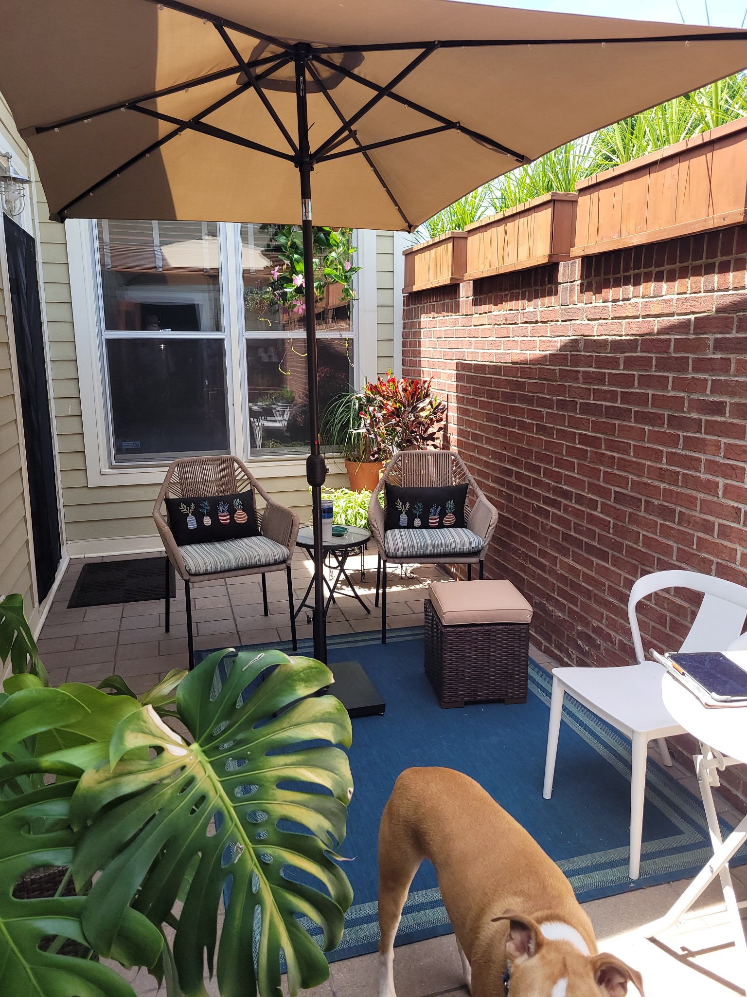 151 Augusta Avenue Pleasant View, TN 37146 - Photo 44 of 56