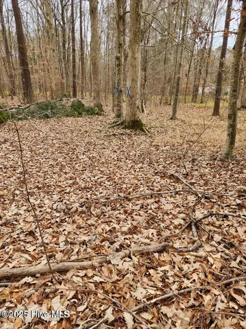 $30,000 | 146 Tranquility Lane, Hertford, NC 27944