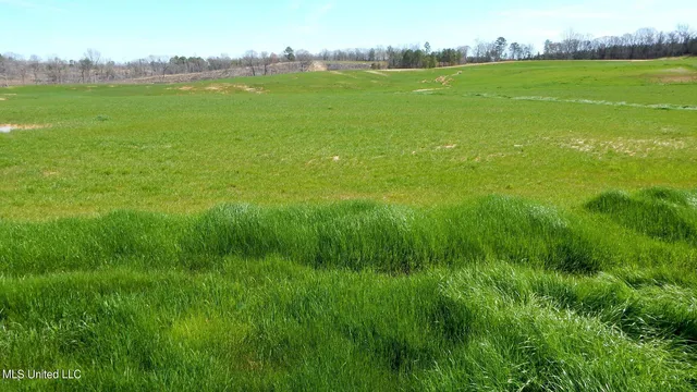 $64,900 | 779 Graysport Crossing Road, Gore Springs, MS 38929