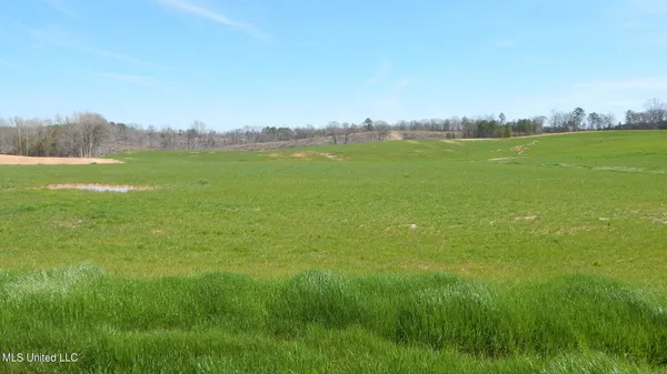 $64,900 | 779 Graysport Crossing Road, Gore Springs, MS 38929