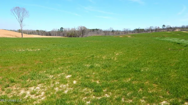 $64,900 | 779 Graysport Crossing Road, Gore Springs, MS 38929