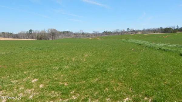 $64,900 | 779 Graysport Crossing Road, Gore Springs, MS 38929