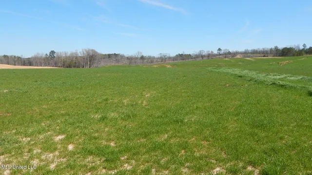 $64,900 | 779 Graysport Crossing Road, Gore Springs, MS 38929