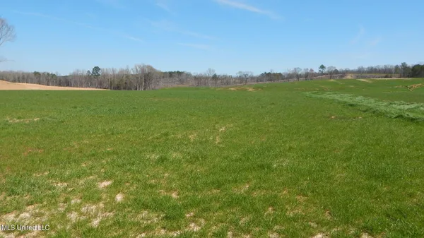 $64,900 | 779 Graysport Crossing Road, Gore Springs, MS 38929