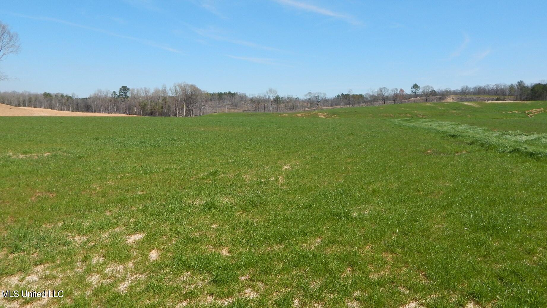 779 Graysport Crossing Road Gore Springs, MS 38929 - Photo 5 of 11 DSCN4937