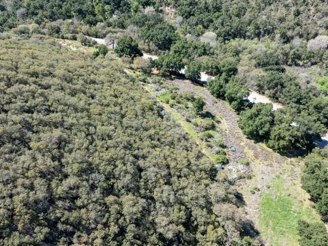 a view of a forest with a houses