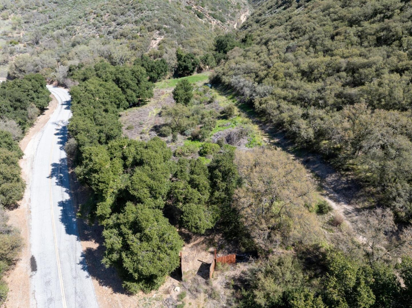 44175 East Carmel Valley Road Greenfield, CA 93927 - Photo 13 of 24 a view of a forest with a tree