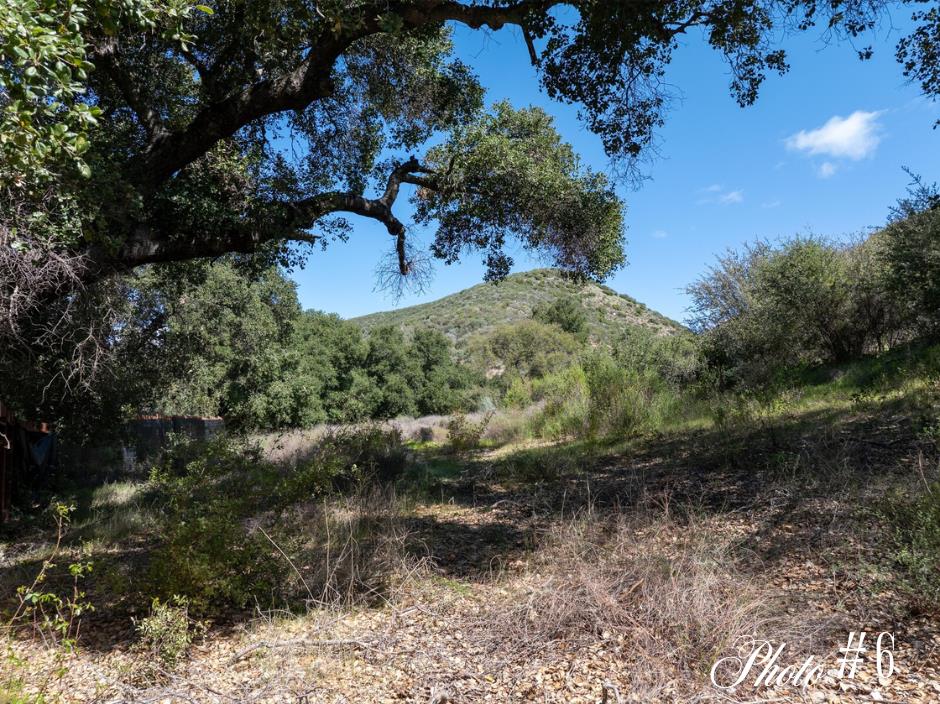 44175 East Carmel Valley Road Greenfield, CA 93927 - Photo 15 of 24 a view of a yard
