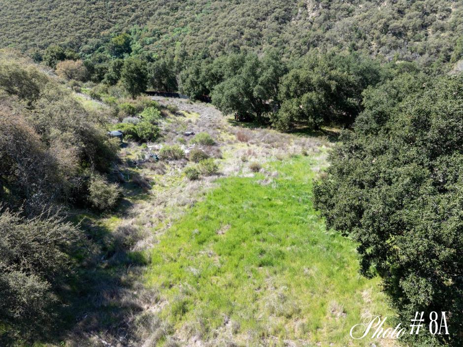 44175 East Carmel Valley Road Greenfield, CA 93927 - Photo 17 of 24 a view of a yard with a tree