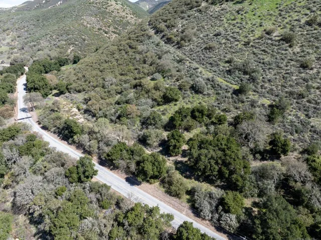 a view of a forest with a building