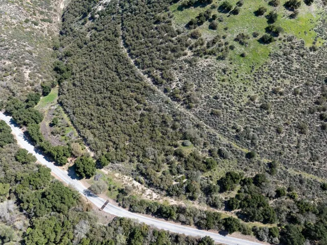 a view of a large yard with lots of green space