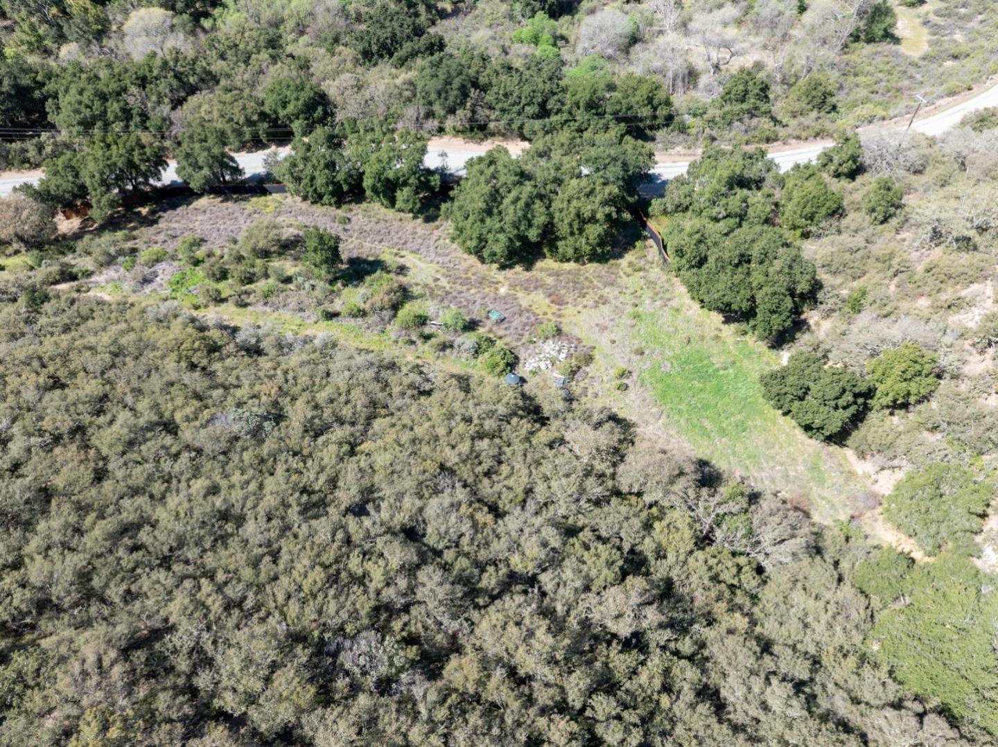 44175 East Carmel Valley Road Greenfield, CA 93927 - Photo 24 of 24 a view of a forest with a tree