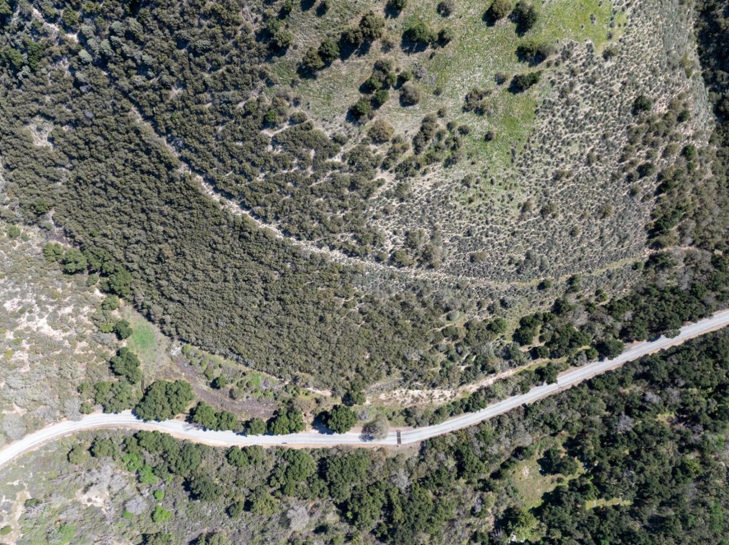 44175 East Carmel Valley Road Greenfield, CA 93927 - Photo 3 of 24 a view of a forest with a tree