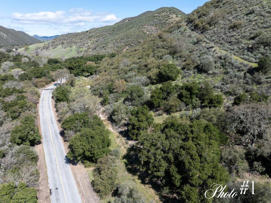 44175 East Carmel Valley Road Greenfield, CA 93927 - Photo 6 of 24 a view of a forest with a mountain