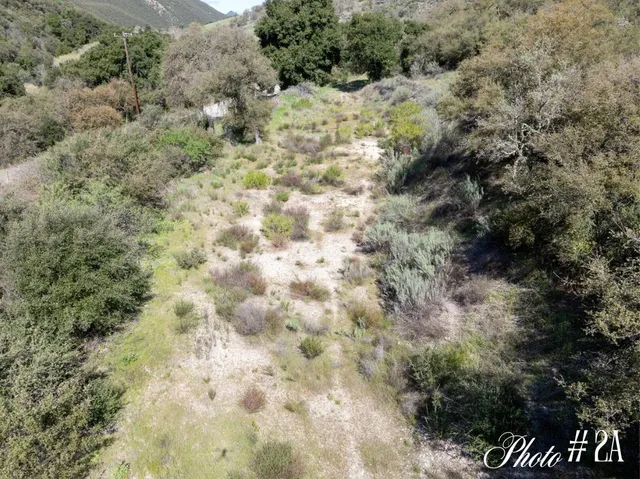 a view of a yard covered with trees