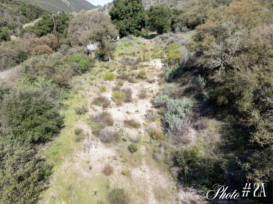 44175 East Carmel Valley Road Greenfield, CA 93927 - Photo 7 of 24 a view of a yard covered with trees