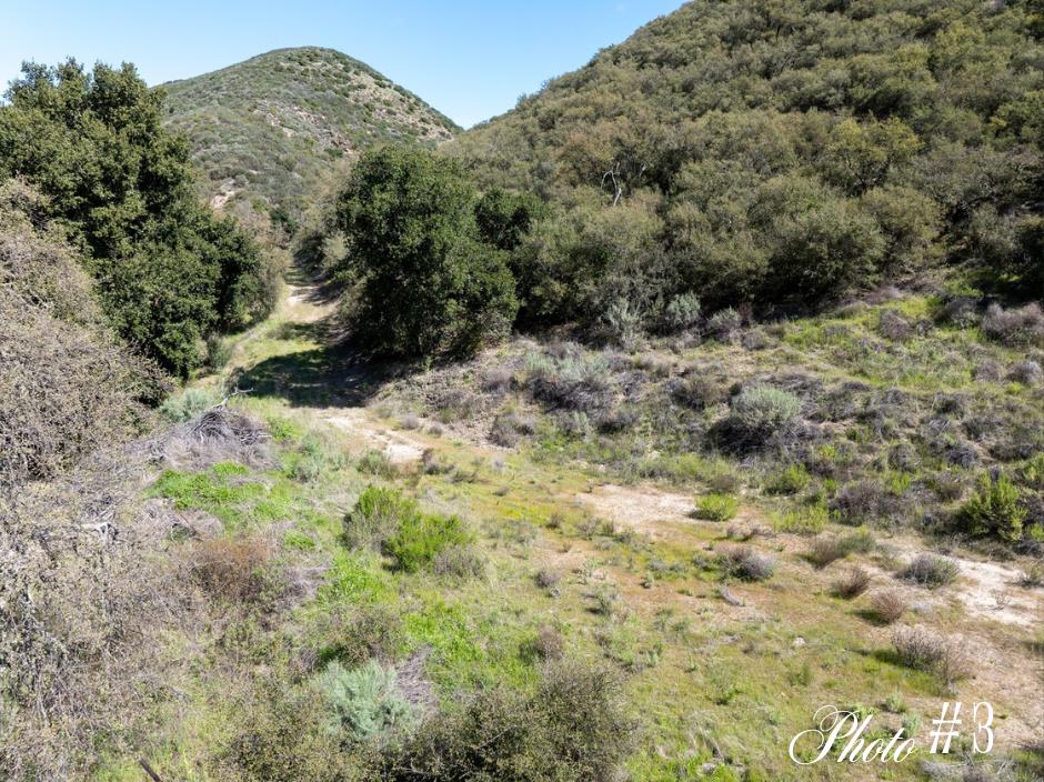 44175 East Carmel Valley Road Greenfield, CA 93927 - Photo 9 of 24 a view of a yard with a tree