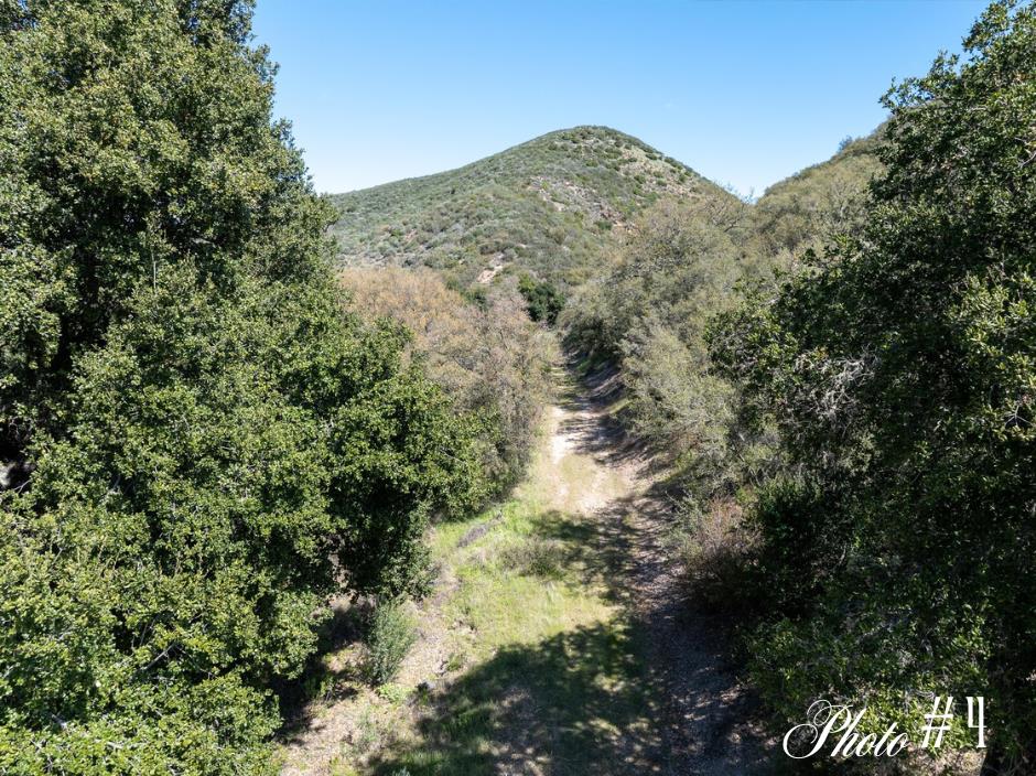 44175 East Carmel Valley Road Greenfield, CA 93927 - Photo 10 of 24 a view of a large tree with plants and covered in the background