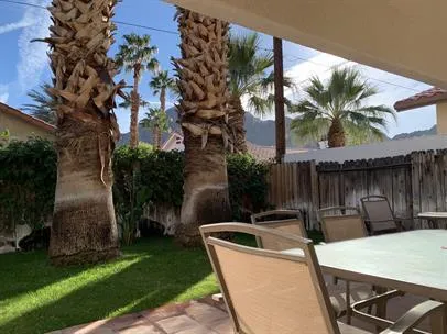 a view of a backyard