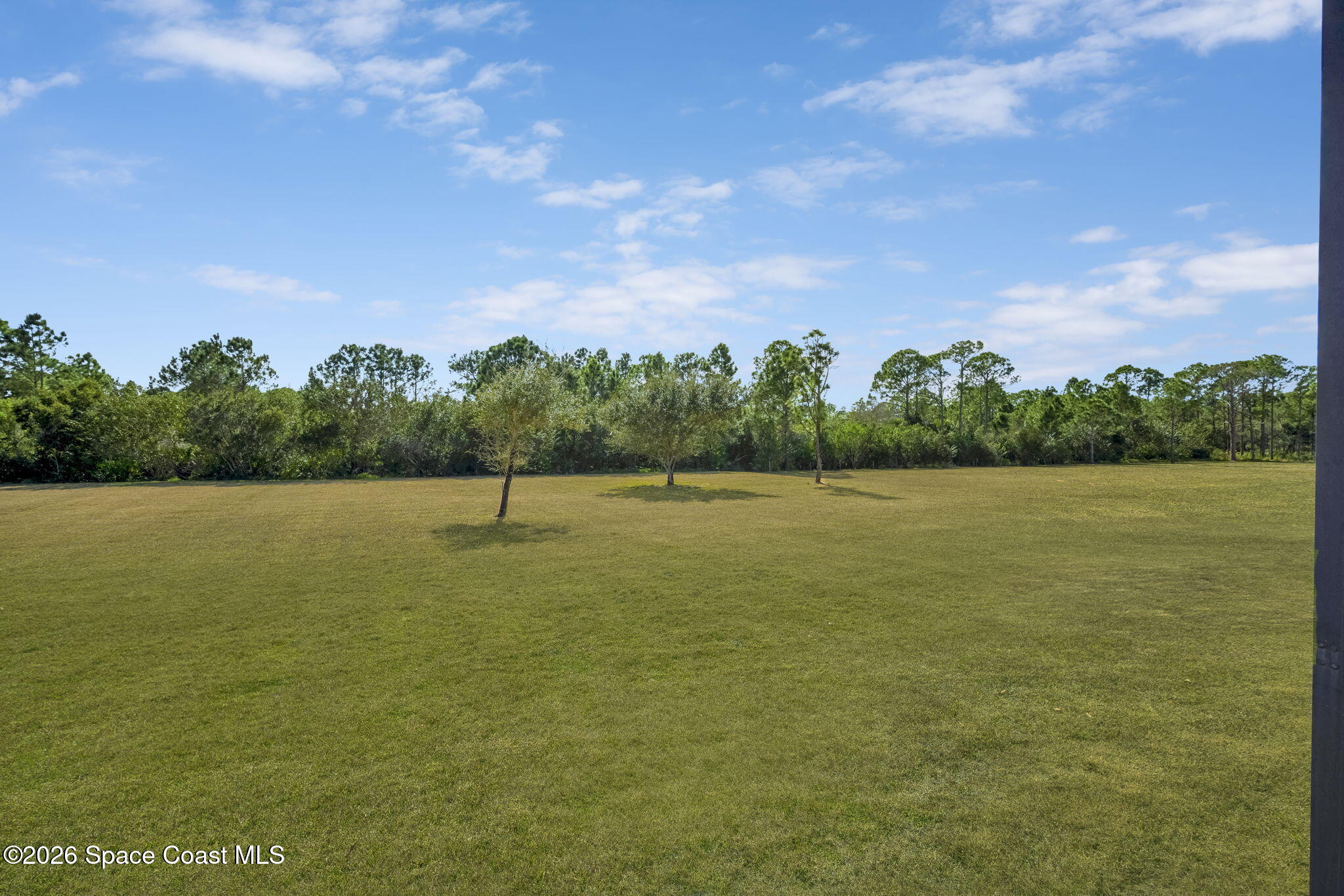 4567 Preservation Circle Melbourne, FL 32934 - Photo 70 of 75 Amazing BACKYARD