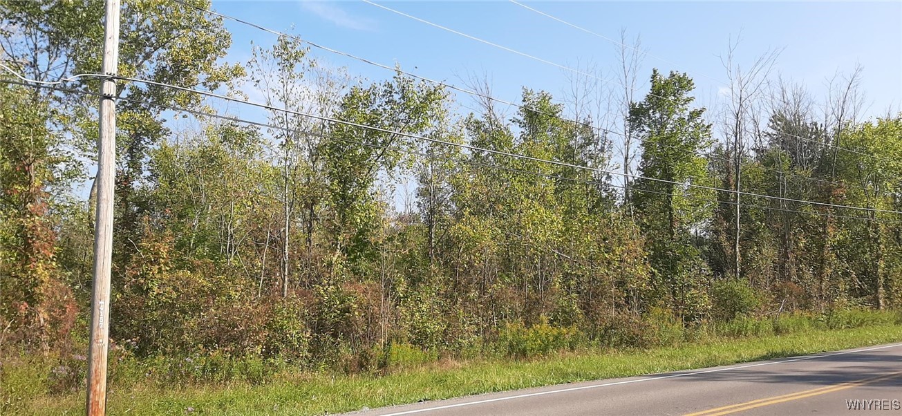 V/l Burch Road Ransomville, NY 14131 - Photo 5 of 7