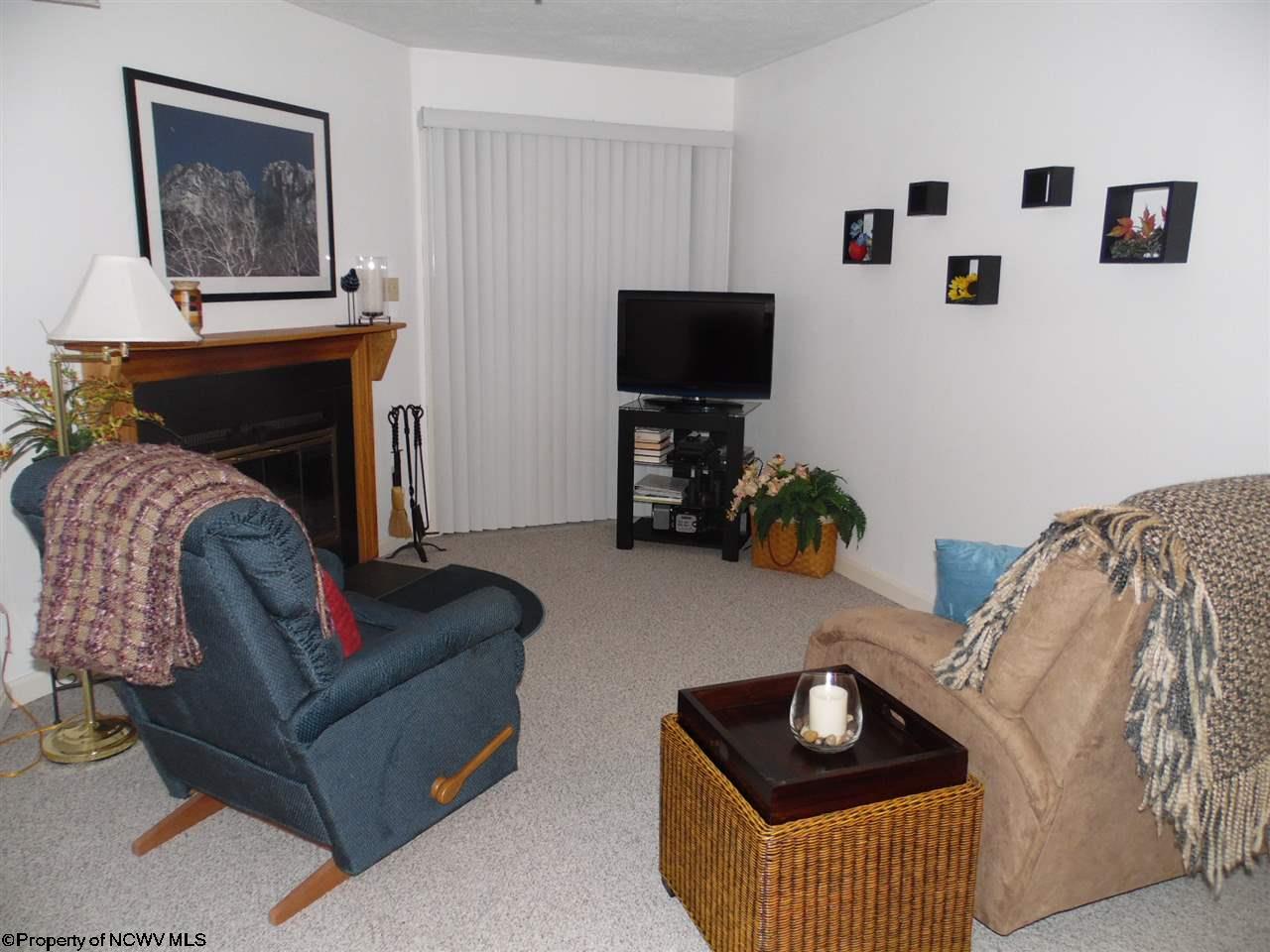 253 Beaver Ridge Davis, WV 26260 - Photo 3 of 7 Gallery Image 3