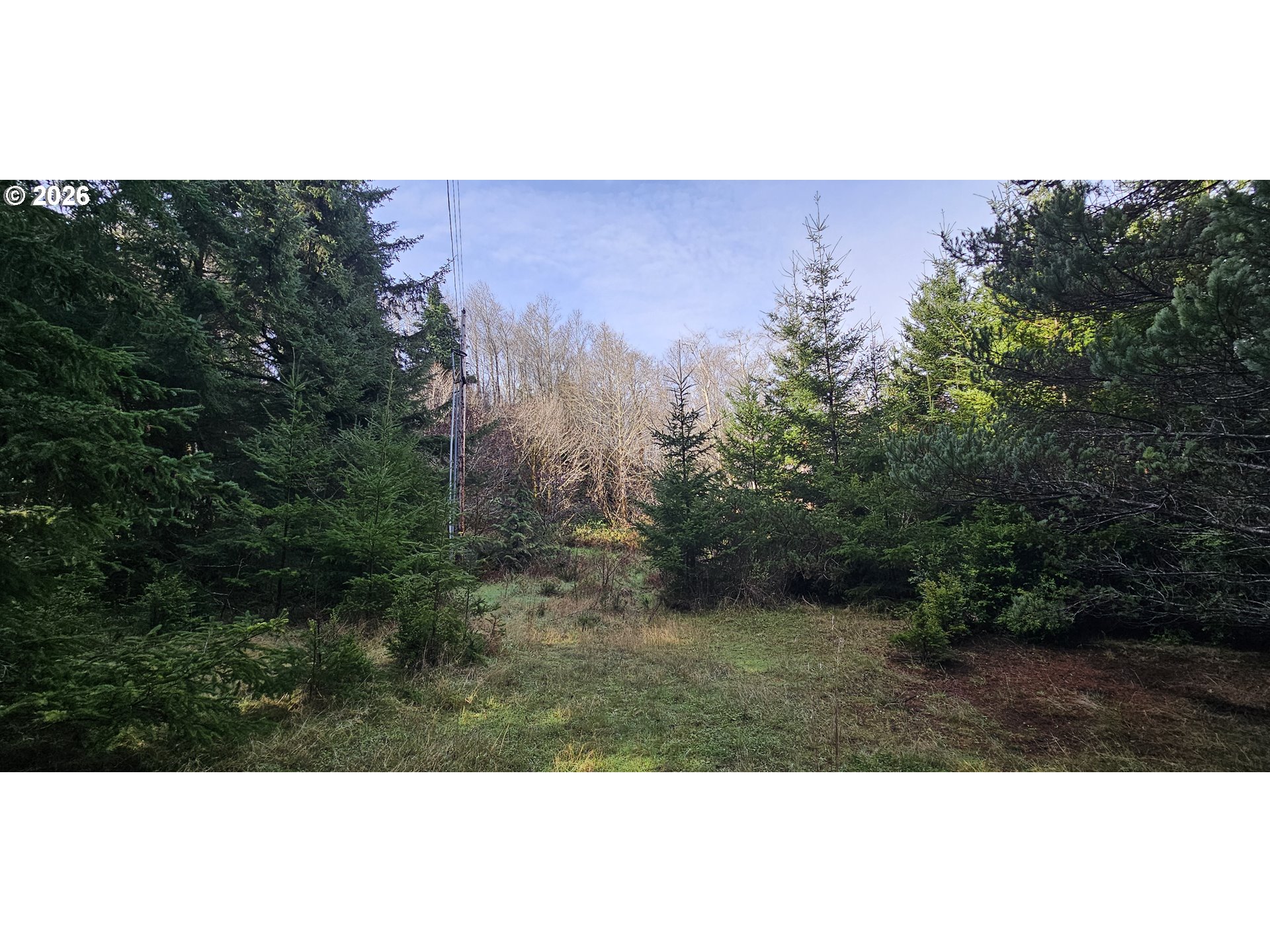 South Crystal Creek Road, Unit 804 Sixes, OR 97476 - Photo 2 of 10 a view of a field with a tree in the background
