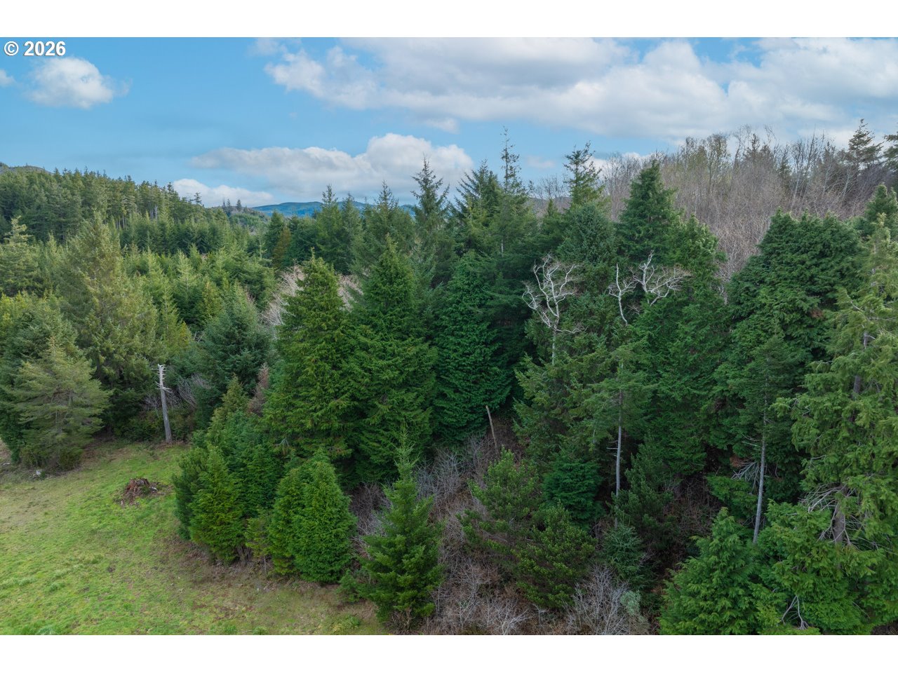South Crystal Creek Road, Unit 804 Sixes, OR 97476 - Photo 8 of 10 a view of a city and lush green forest
