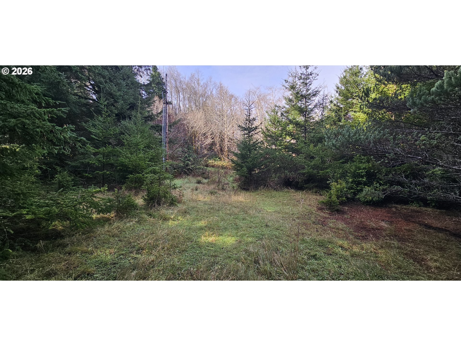 South Crystal Creek Road, Unit 804 Sixes, OR 97476 - Photo 10 of 10 a view of a yard with a tree
