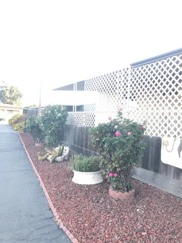 a view of a backyard