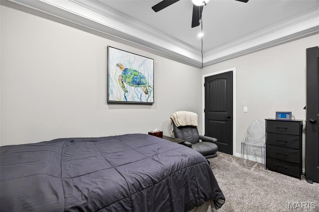 820 Upland Loop O'Fallon, MO 63368 - Photo 45 of 66