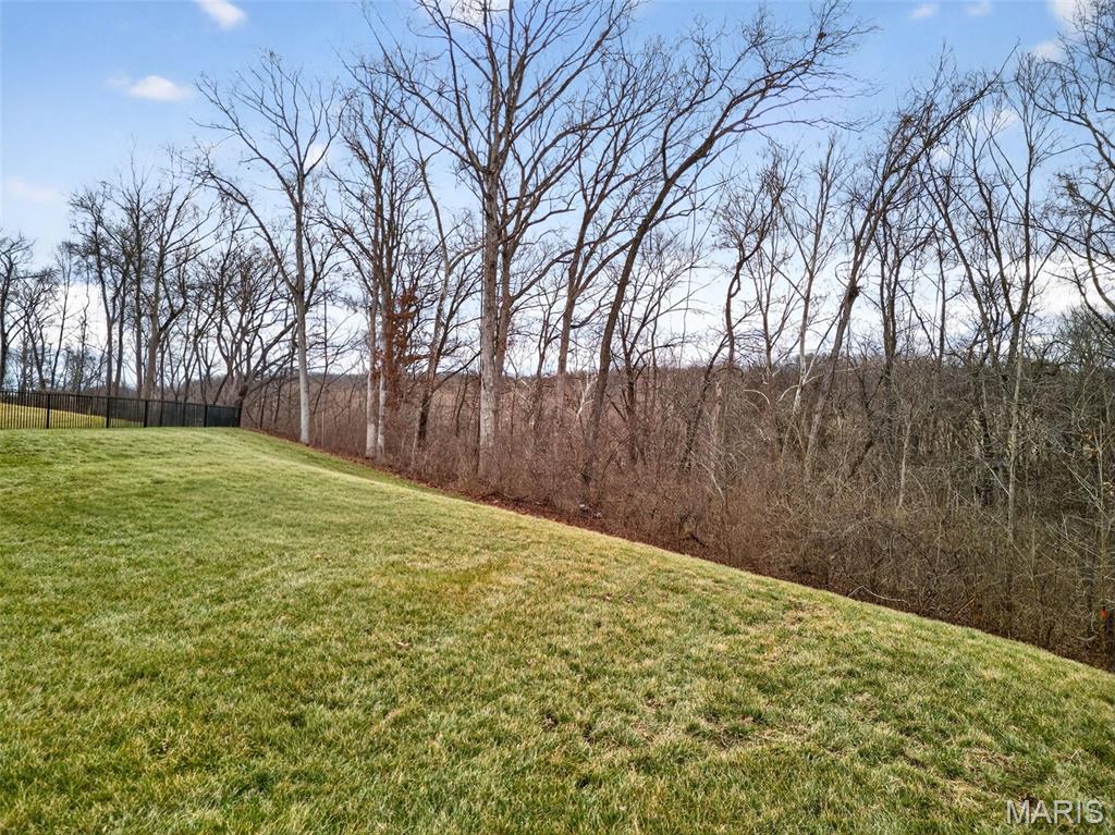 820 Upland Loop O'Fallon, MO 63368 - Photo 63 of 66