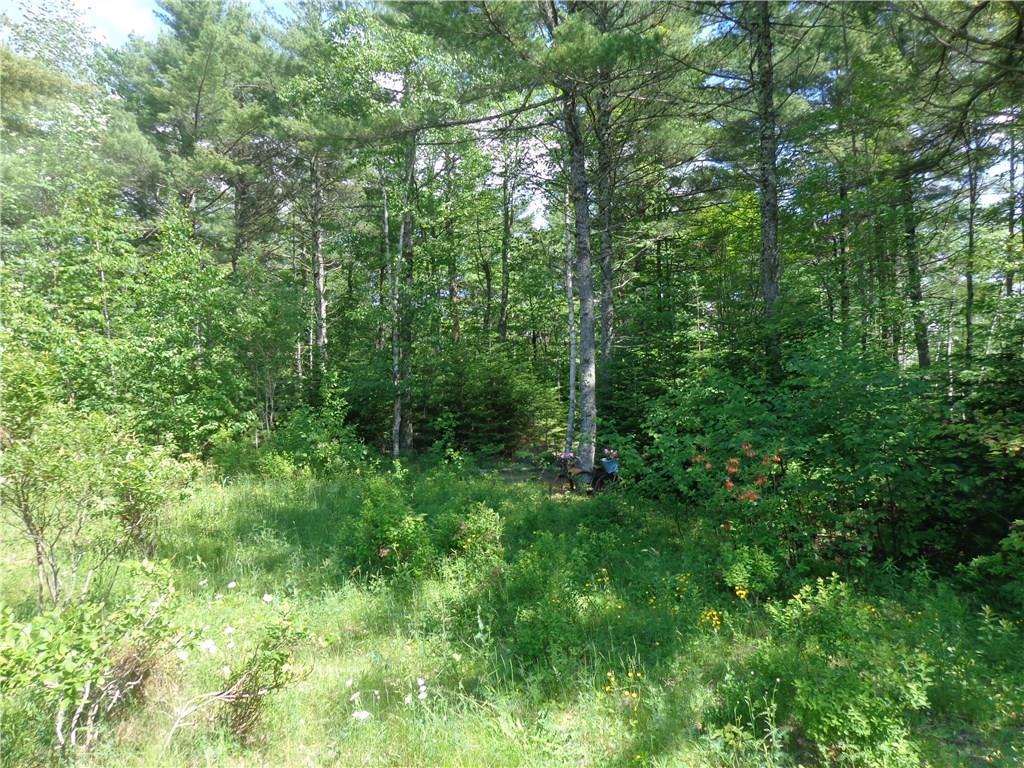 511 Bangor Road Ellsworth, ME 04605 - Photo 24 of 33 Backyard