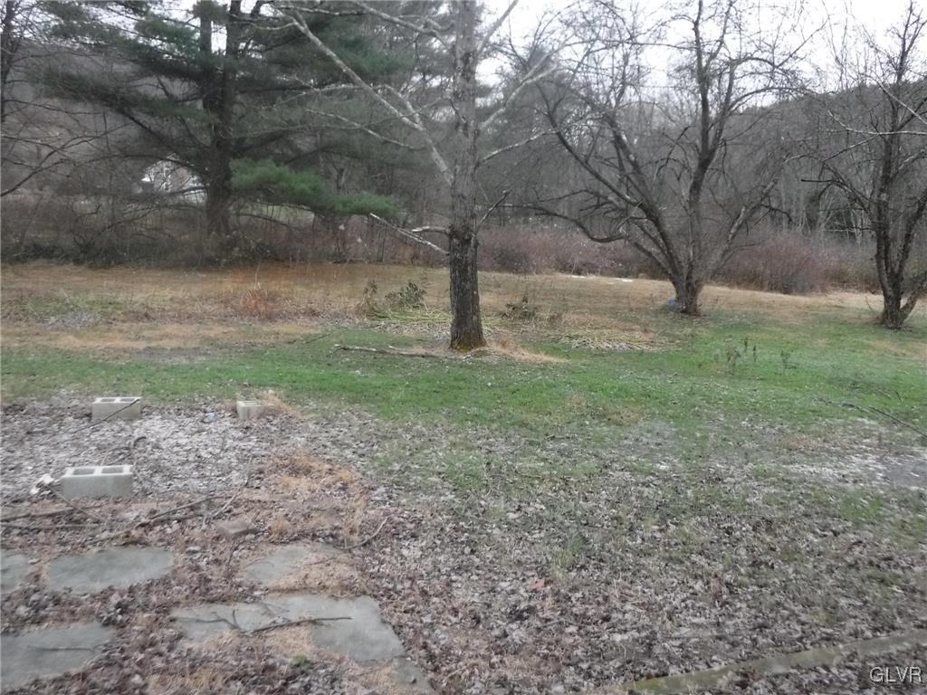 755 Silver Spring Boulevard Kunkletown, PA 18058 - Photo 6 of 20 a view of a yard with a tree