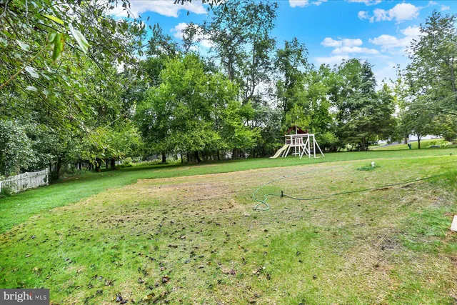 a view of a field with trees in the background
