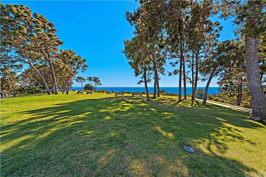 35232 Camino Capistrano, Unit 6 Dana Point, CA 92624 - Photo 23 of 25 a view of green field with tree