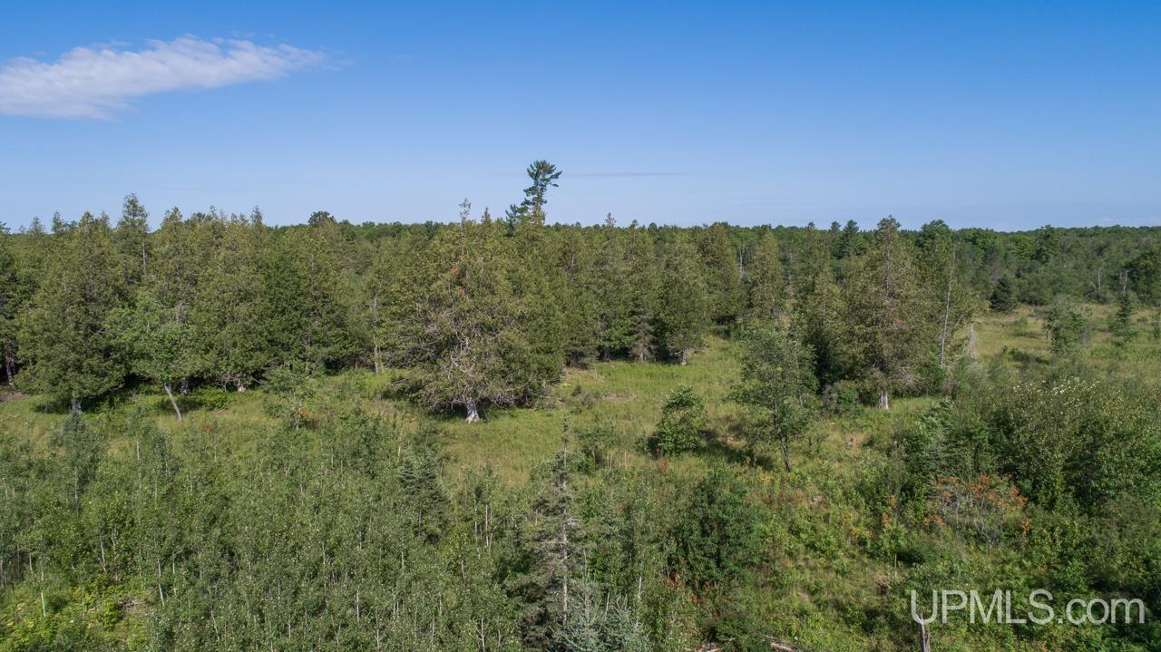 Tbd 80-acres 30th Road Rapid River, MI 49878 - Photo 13 of 17