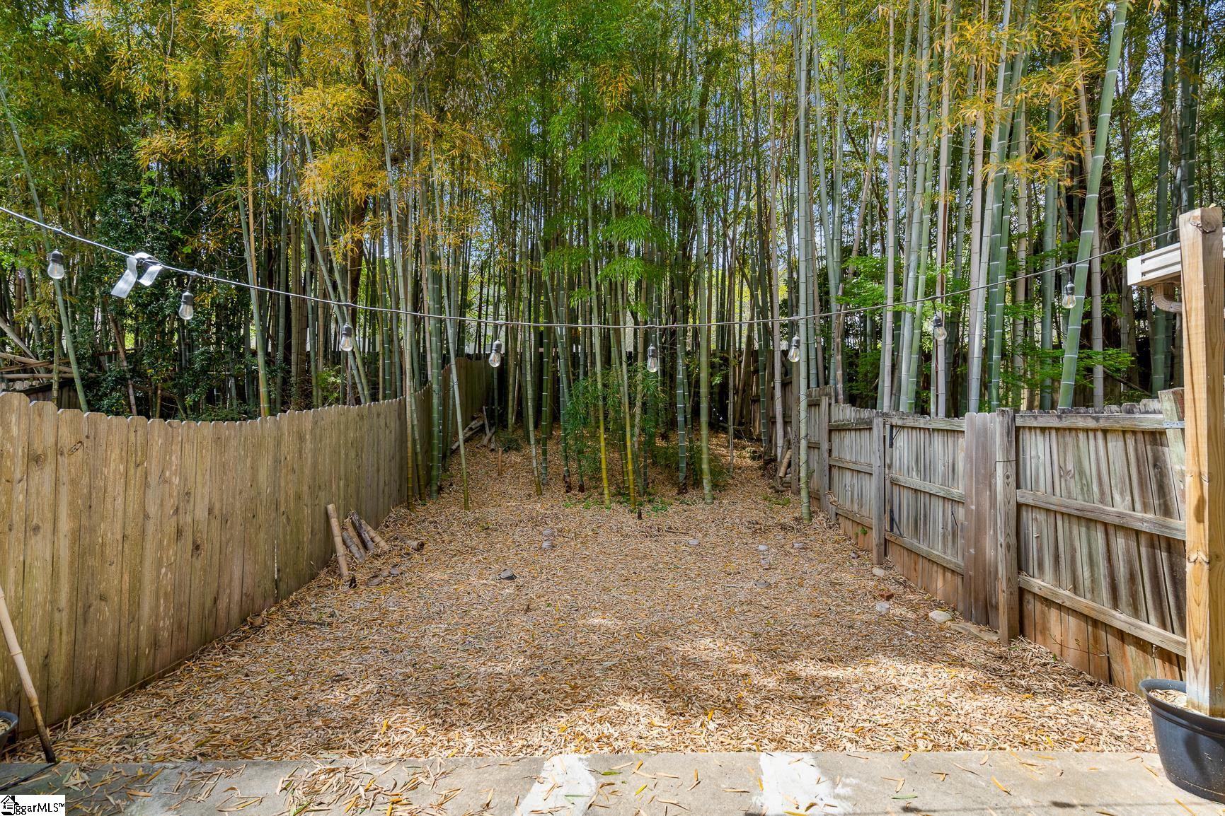 119 Freedom Drive, Unit 4 Clemson, SC 29631 - Photo 19 of 20