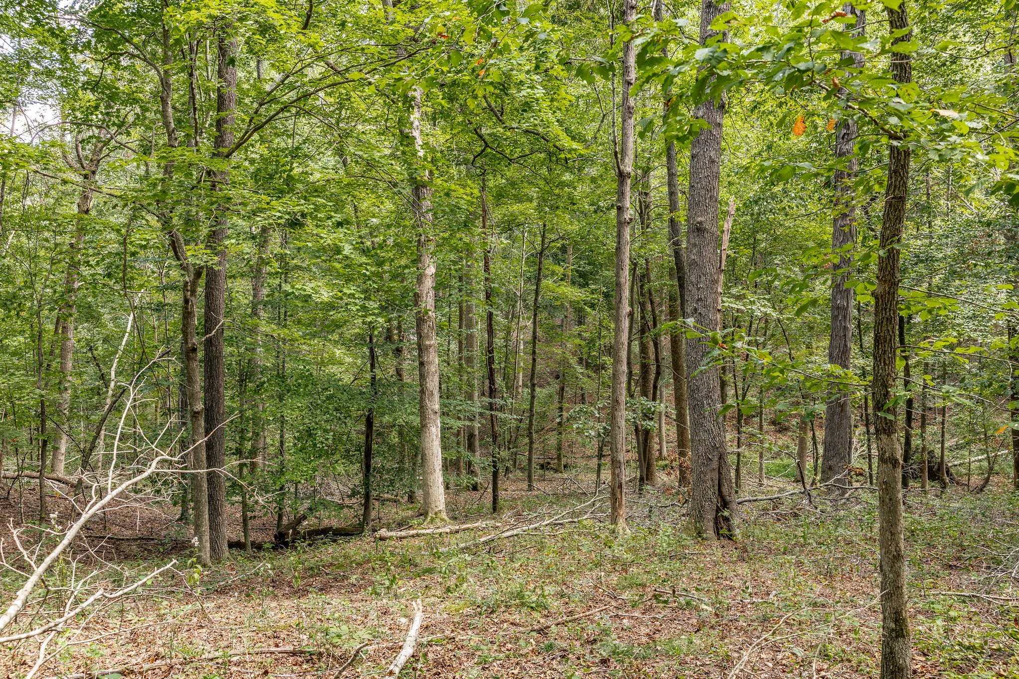 0 Keytown Road Gallatin, TN 37066 - Photo 31 of 57 Gallery Image 31