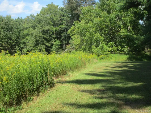 a view of a lake with a yard and potted plants
