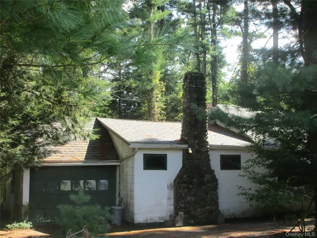a view of a yard with plants and large trees
