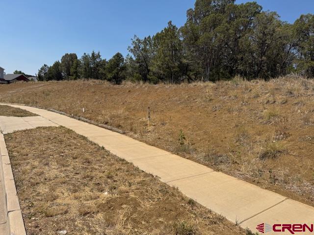 39 Salt Brush Street Durango, CO 81301 - Photo 3 of 9