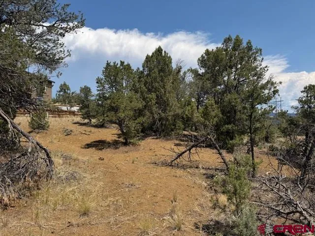 a view of water covered with snow in the background
